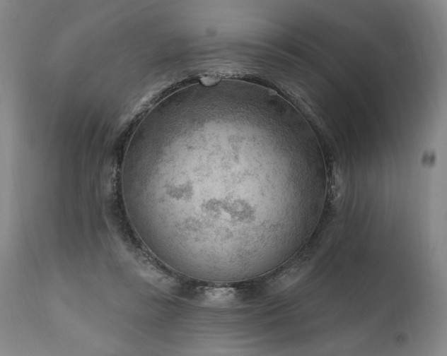 X0000111040355200906251407