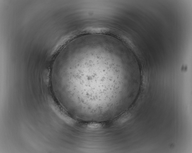 X0000111040357200906251407