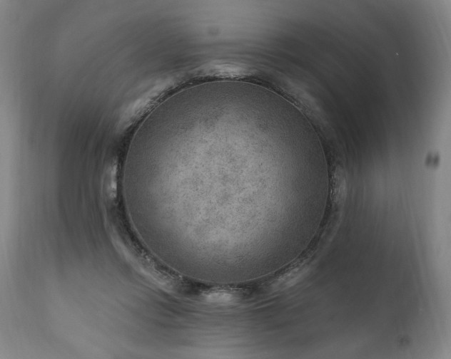 X0000111040358200906251407