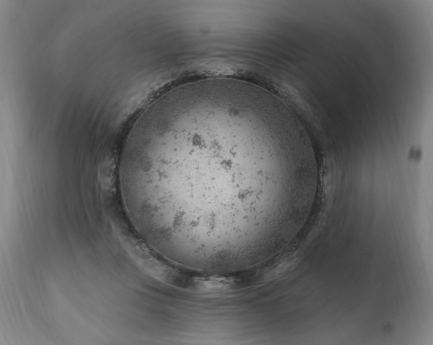 X0000111040359200906251407
