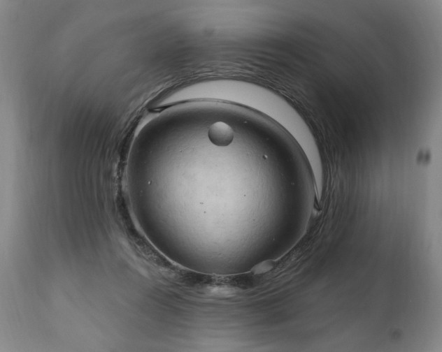 X0000111040360200906251407