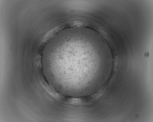 X0000111040361200906251407