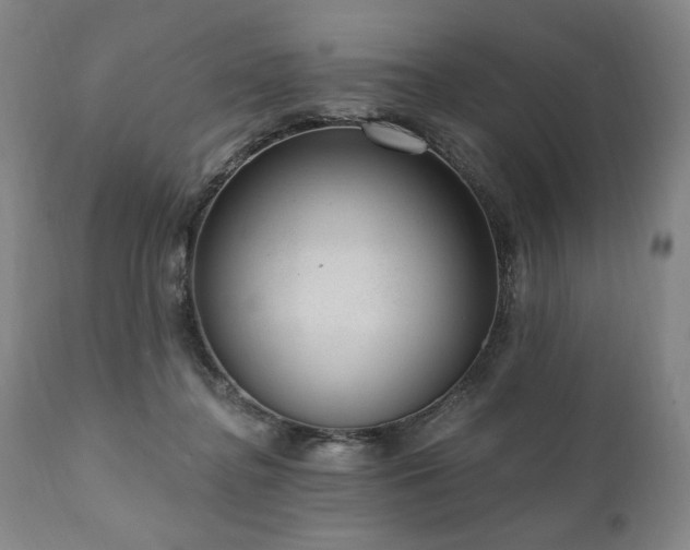 X0000111040364200906251407