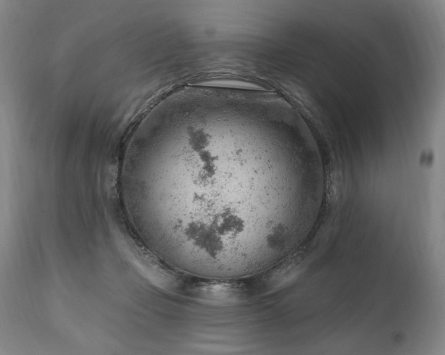 X0000111040365200906251407