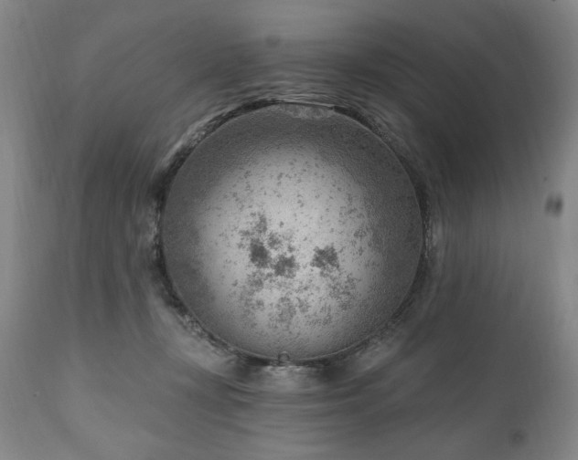 X0000111040367200906251407