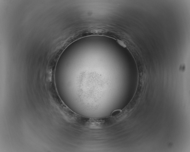 X0000111040368200906251407