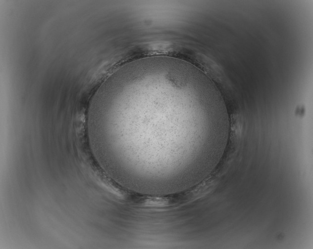X0000111040369200906251407