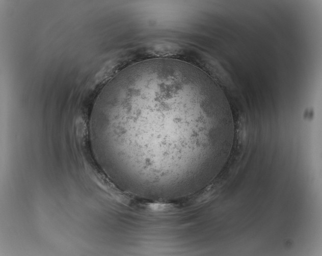 X0000111040371200906251408