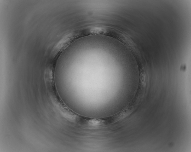 X0000111040375200906251408