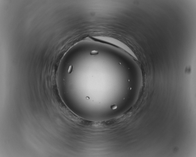X0000111040376200906251408