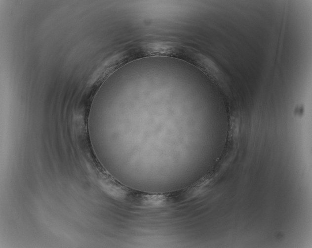 X0000111040377200906251408