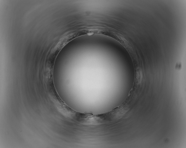 X0000111040379200906251408