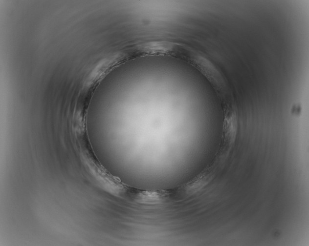 X0000111040381200906251408
