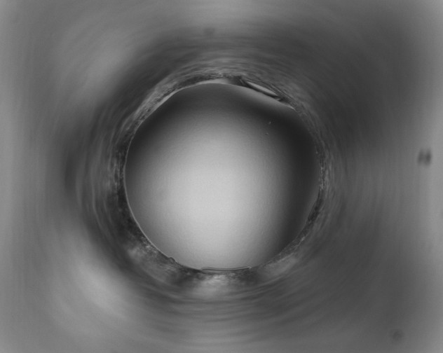 X0000111040382200906251408