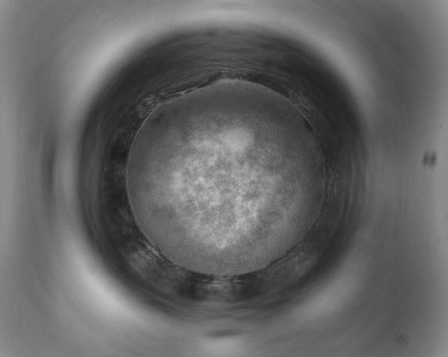 X0000111040383200906251408