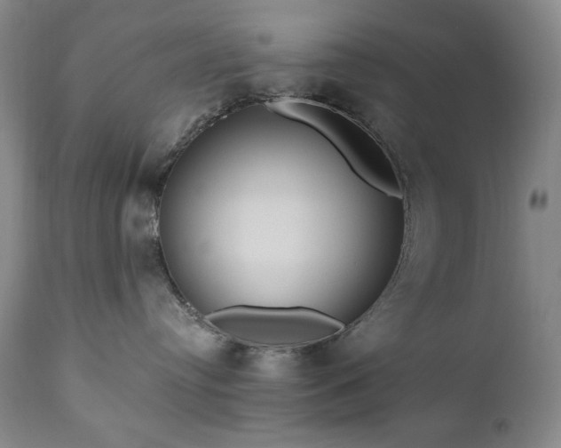 X0000111040384200906251408