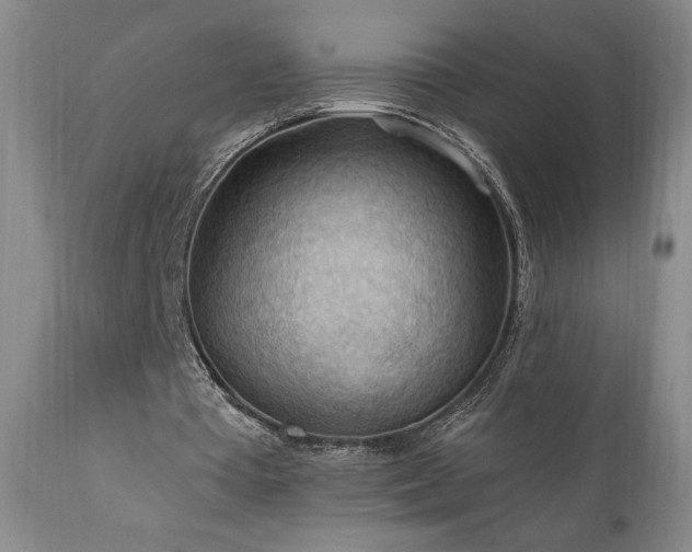 X0000111040385200906251407