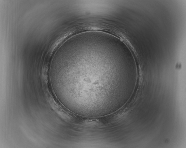 X0000111040386200906251407