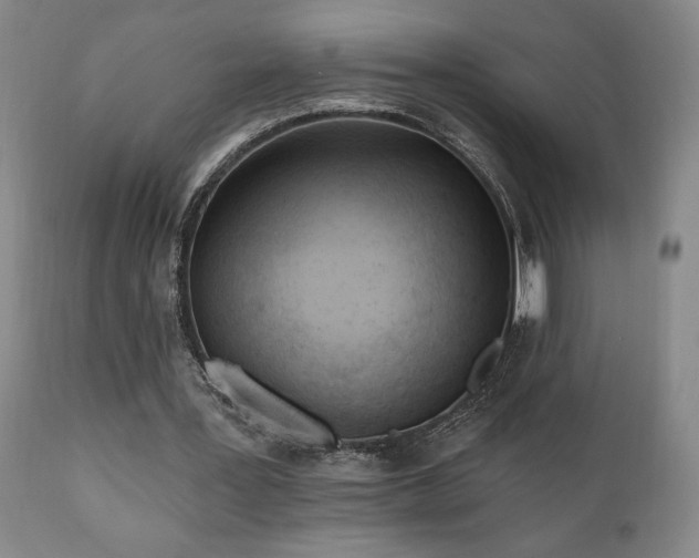 X0000111040387200906251407