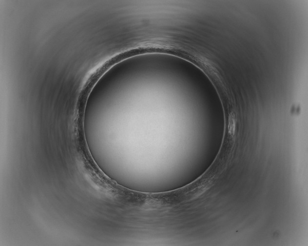 X0000111040388200906251407