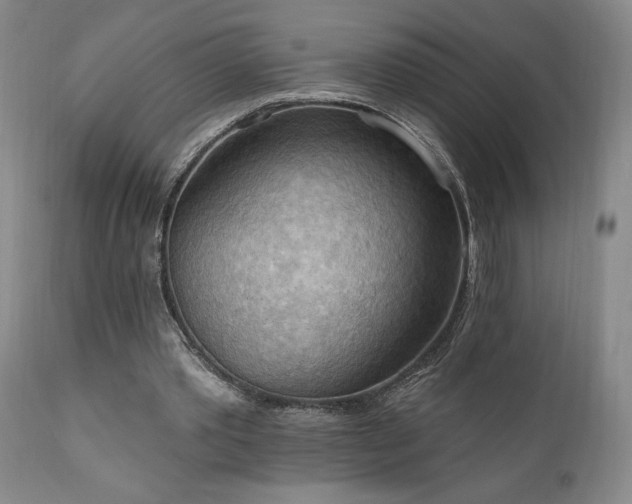 X0000111040389200906251407