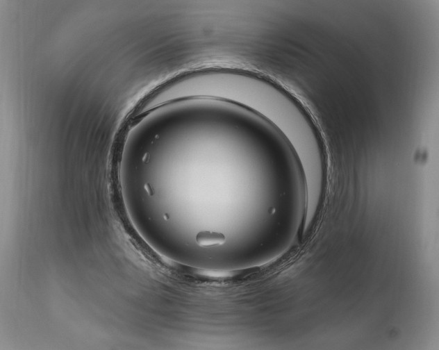 X0000111040391200906251407