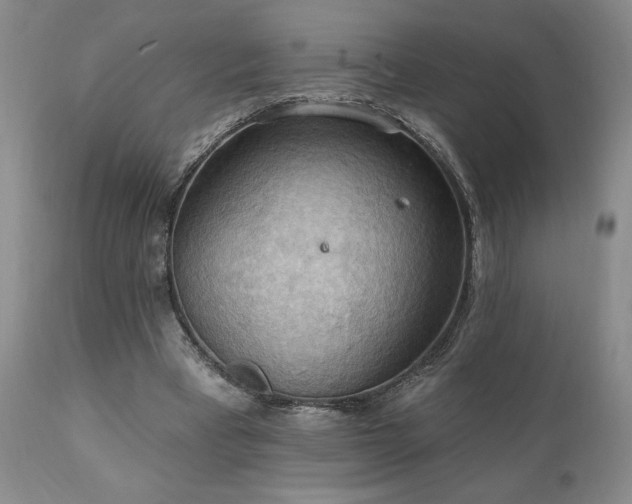 X0000111040393200906251407