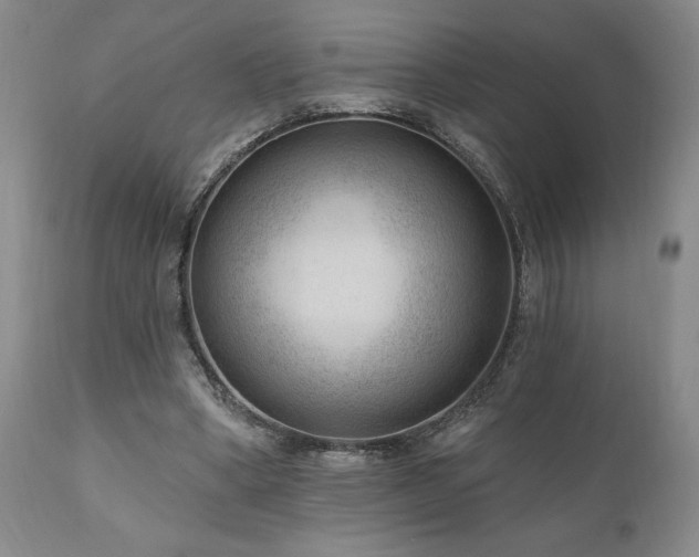 X0000111040394200906251407