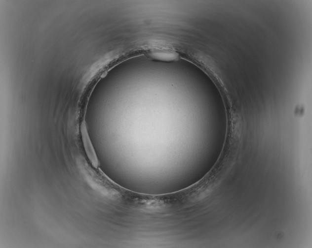 X0000111040395200906251407