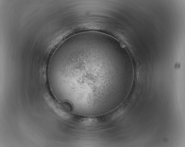 X0000111040398200906251407