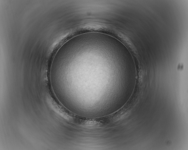 X0000111040399200906251407