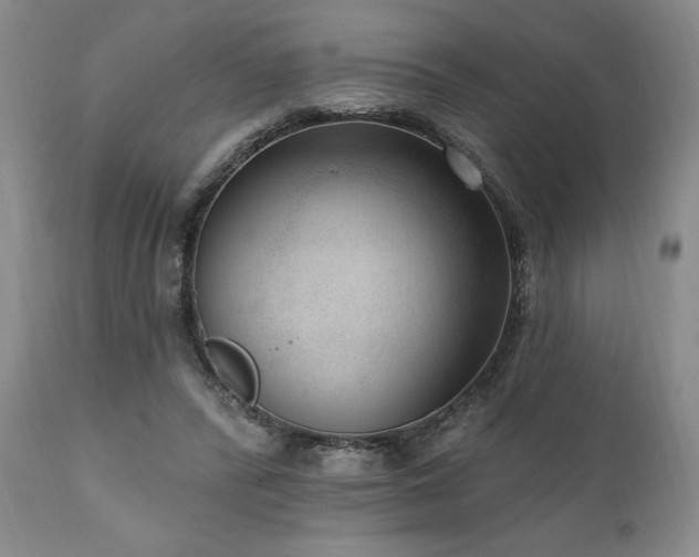 X0000111040400200906251407