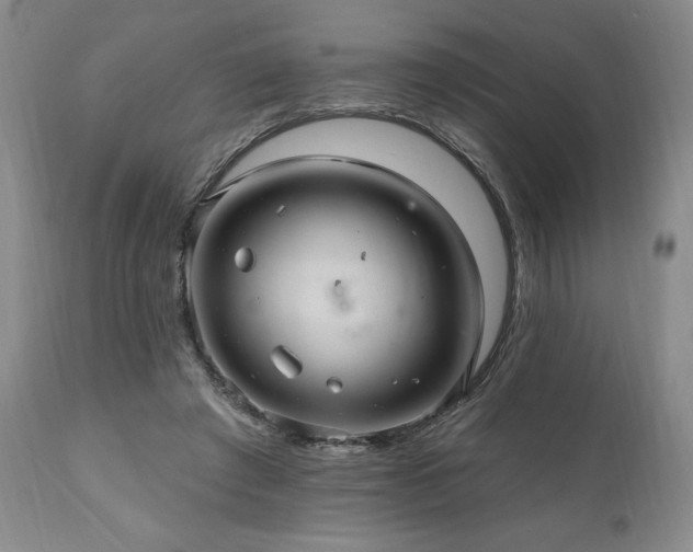 X0000111040401200906251407