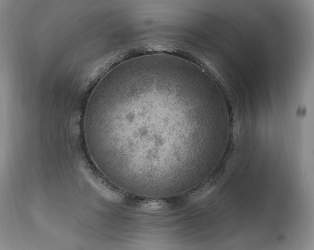 X0000111040402200906251407