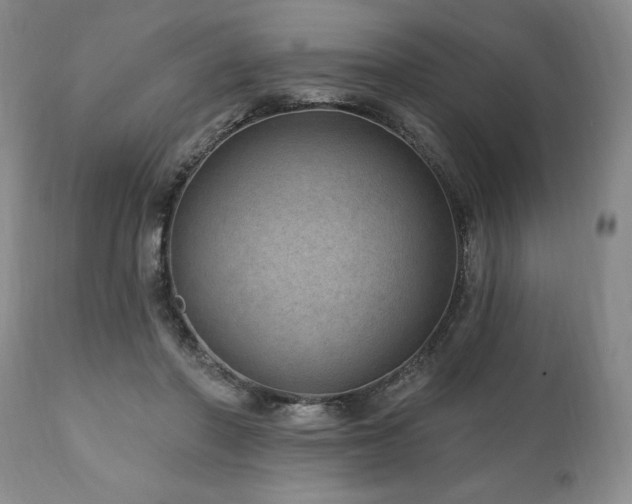 X0000111040406200906251407