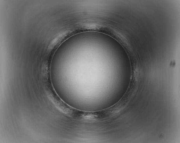 X0000111040407200906251407