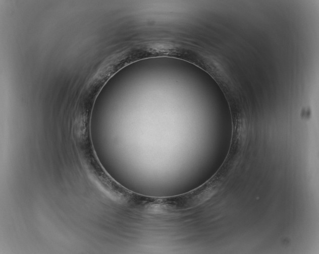 X0000111040408200906251407