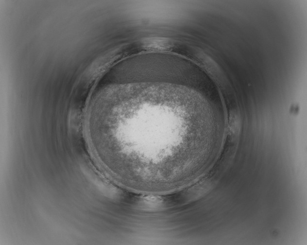 X0000111040409200906251407