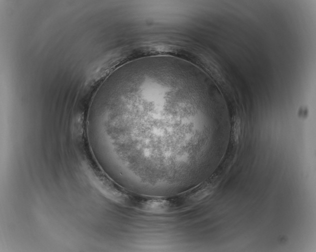 X0000111040410200906251407