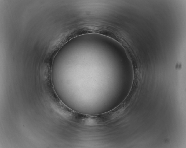 X0000111040412200906251407