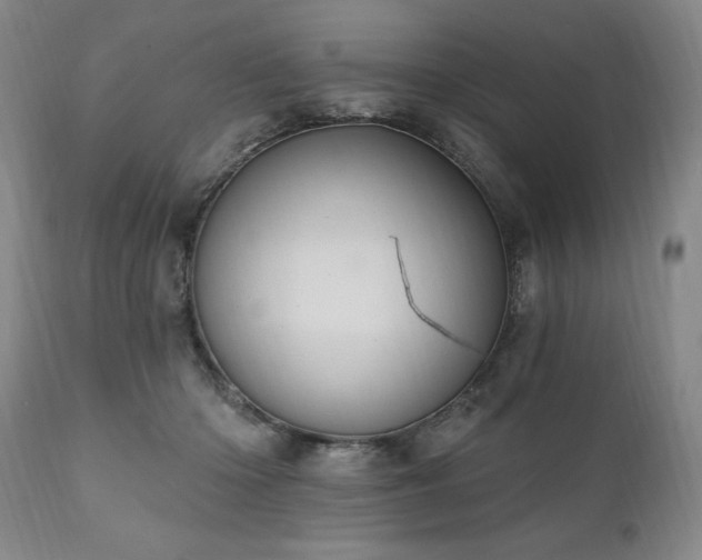 X0000111040414200906251407