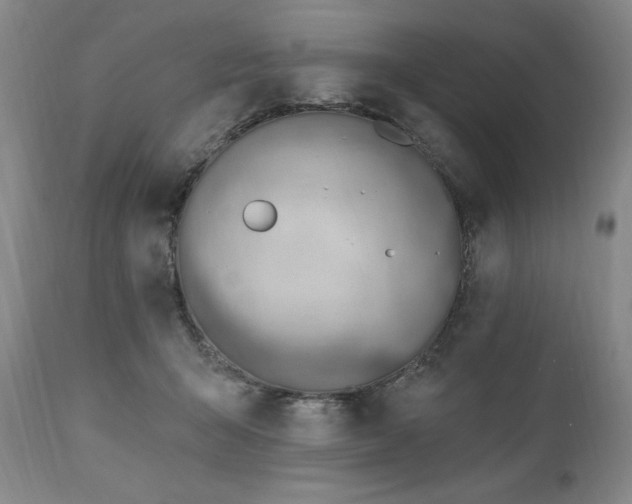X0000111040415200906251407