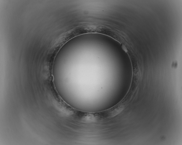 X0000111040416200906251407