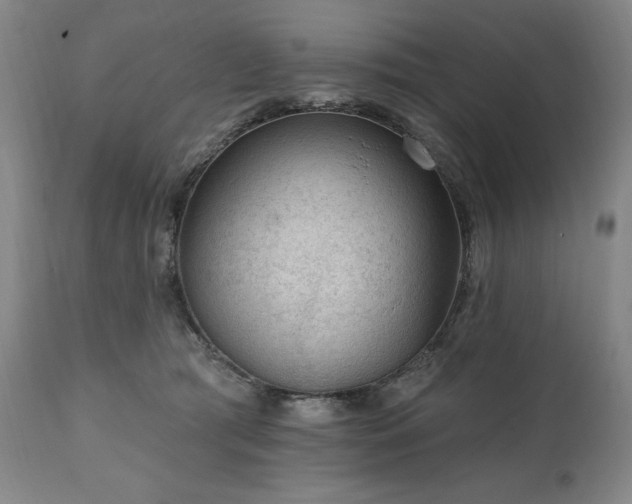 X0000111040417200906251407