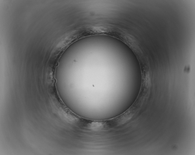 X0000111040418200906251407