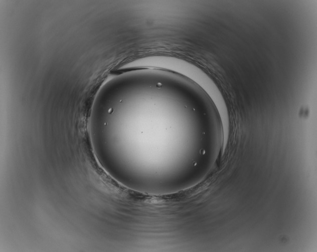 X0000111040419200906251407