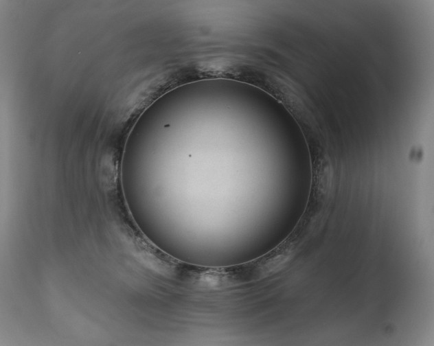 X0000111040420200906251407