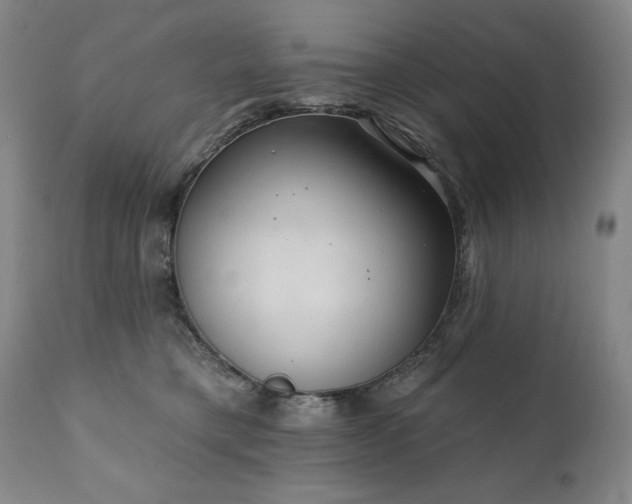 X0000111040421200906251407