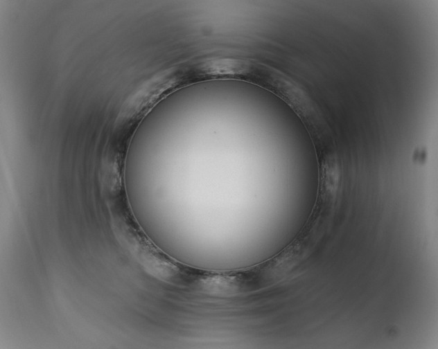 X0000111040422200906251407