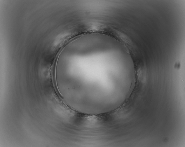 X0000111040423200906251407